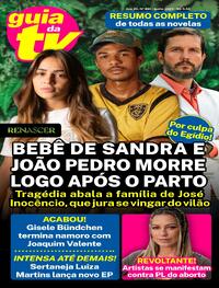 Capa da revista Guia da Tevê 14/06/2024
